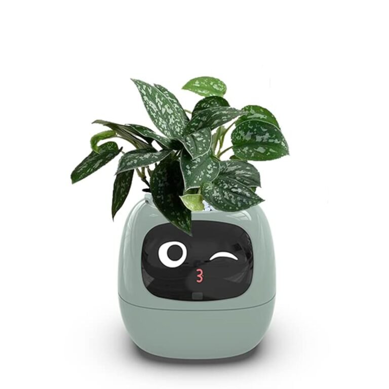 Plant in a robot-shaped pot with winking face and number three