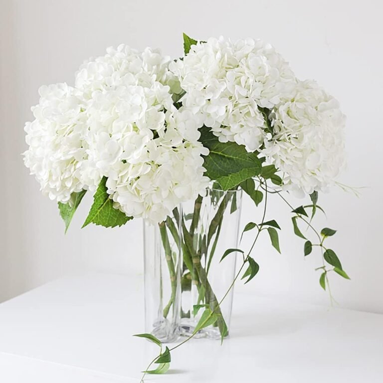 White hydrangea flowers in a clear glass vase on a white table