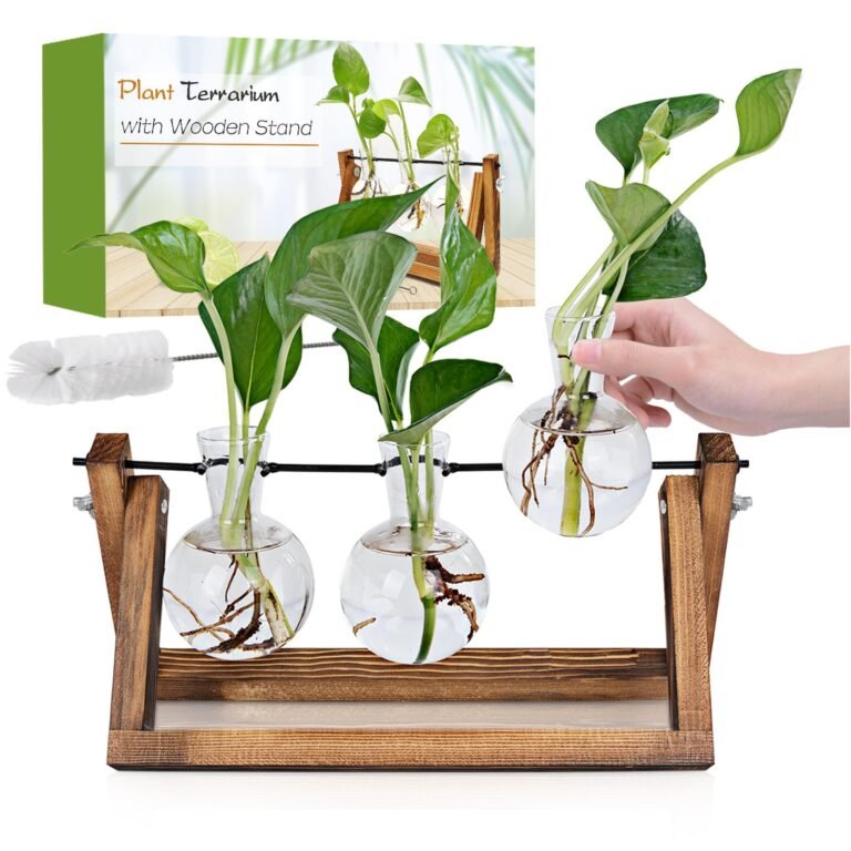 Plant terrarium with wooden stand, glass bulbs, and green plants