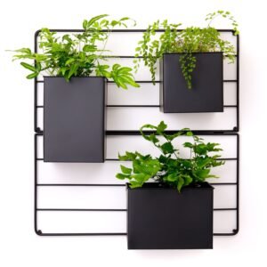Three potted plants in black rectangular planters on a black grid