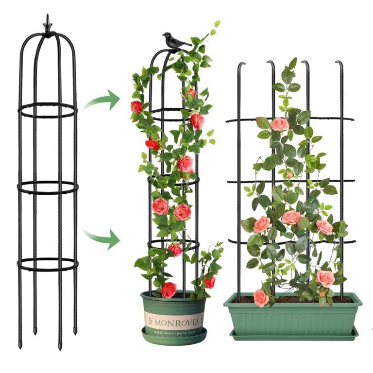 Black metal plant trellis with roses in pots, bird on top
