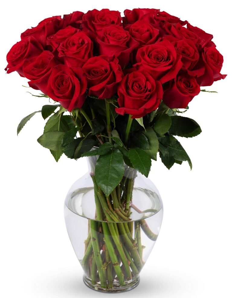A bouquet of vibrant red roses in a clear glass vase
