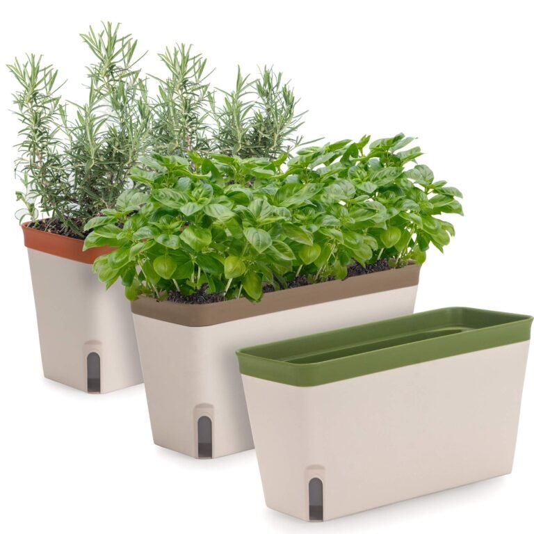 Herb garden with rosemary, basil, and empty planter boxes