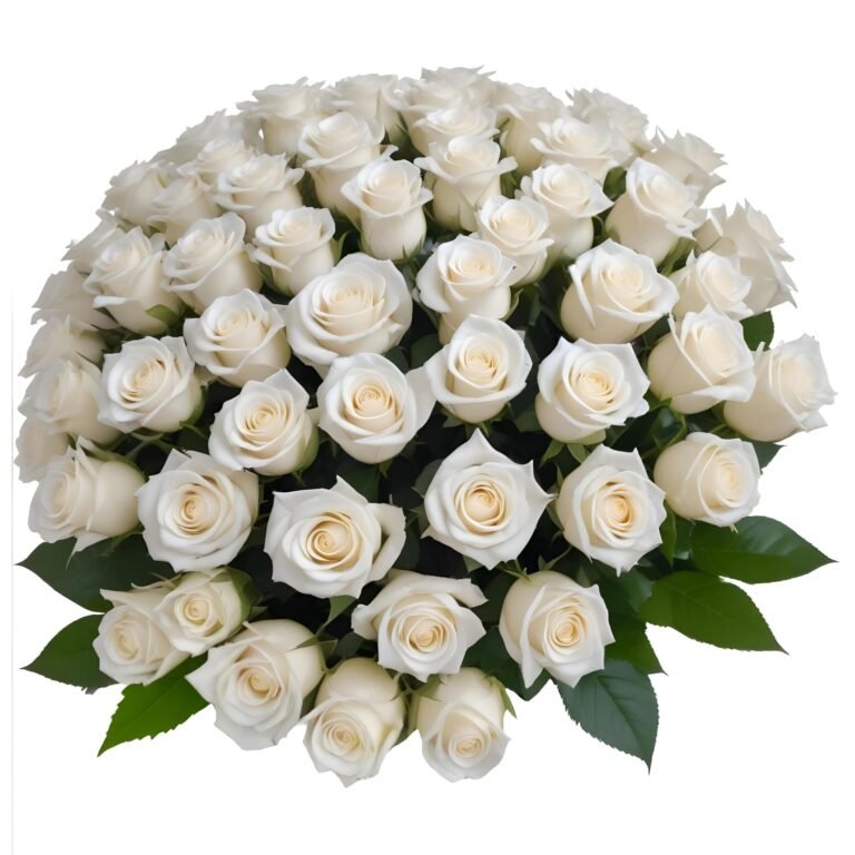 Large bouquet of white roses with green leaves, isolated on white background