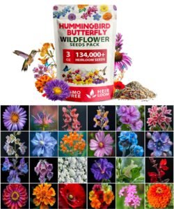 Hummingbird and butterfly wildflower seeds pack with various colorful flower images