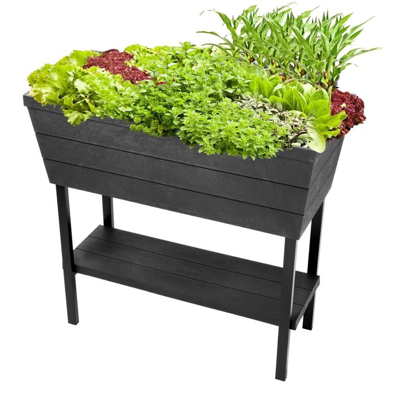 Raised black planter box filled with various leafy green vegetables