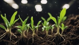 Young plants with visible roots growing in dark soil under lights